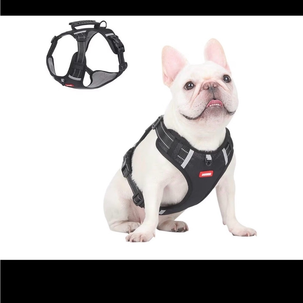 New Dog Harness and Leash, Small